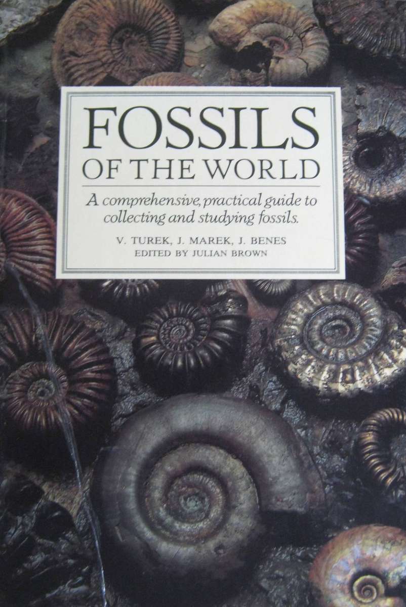 Fossils of the World A Comprehensive, Practical Guide to Collecting and Studying Fossils