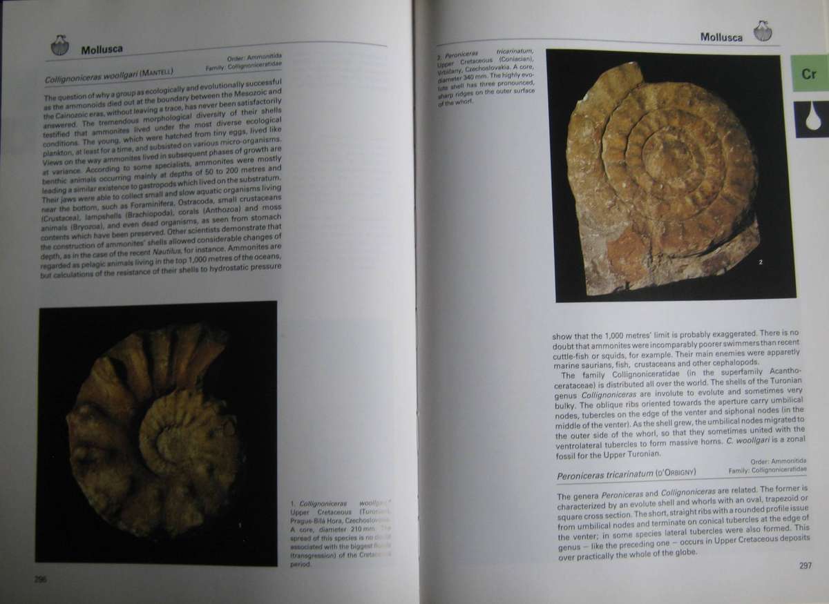 Fossils of the World A Comprehensive, Practical Guide to Collecting and Studying Fossils