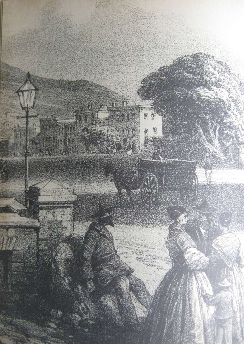 Life at the Cape a Hundred Years Ago by a Lady