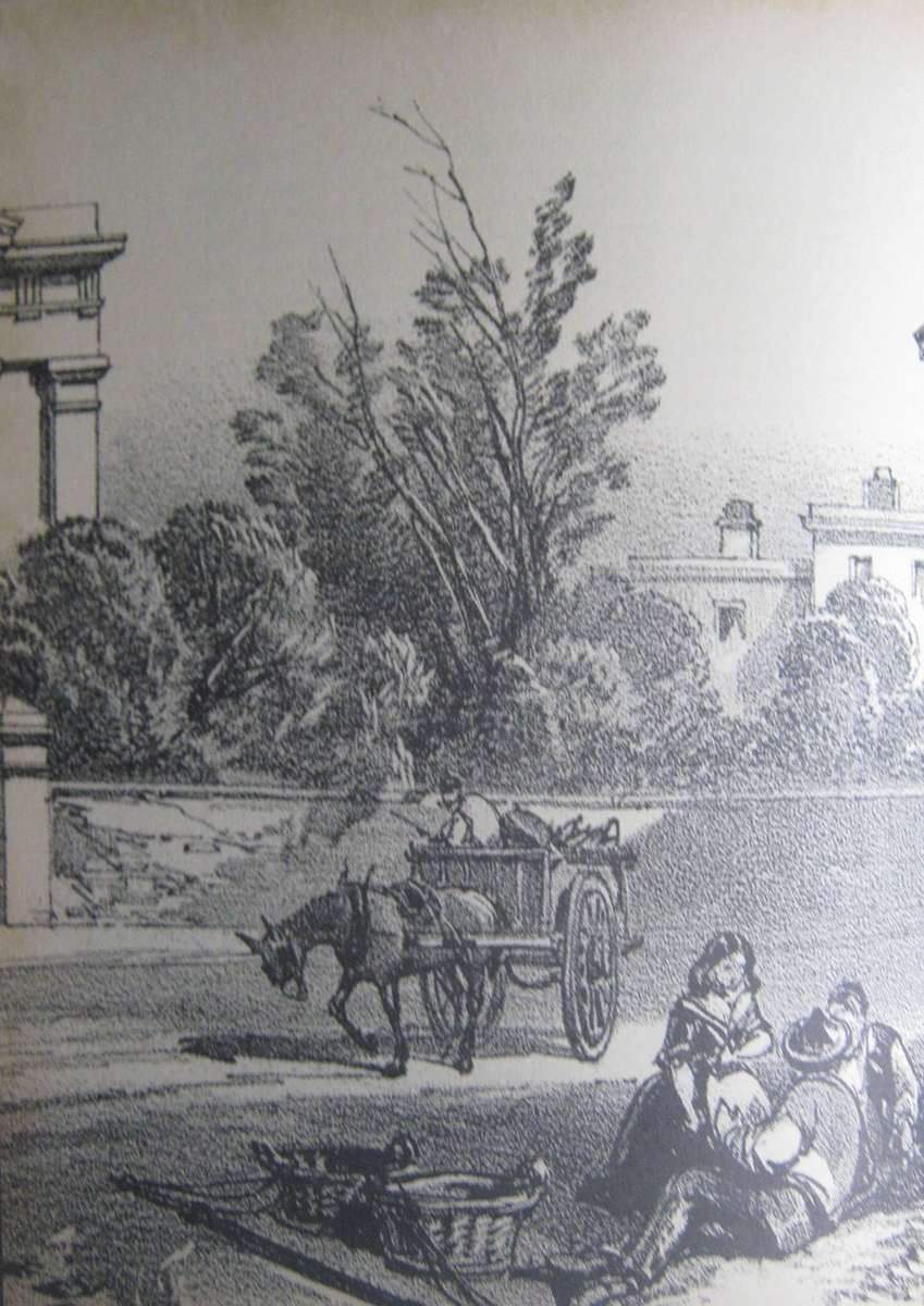 Life at the Cape a Hundred Years Ago by a Lady