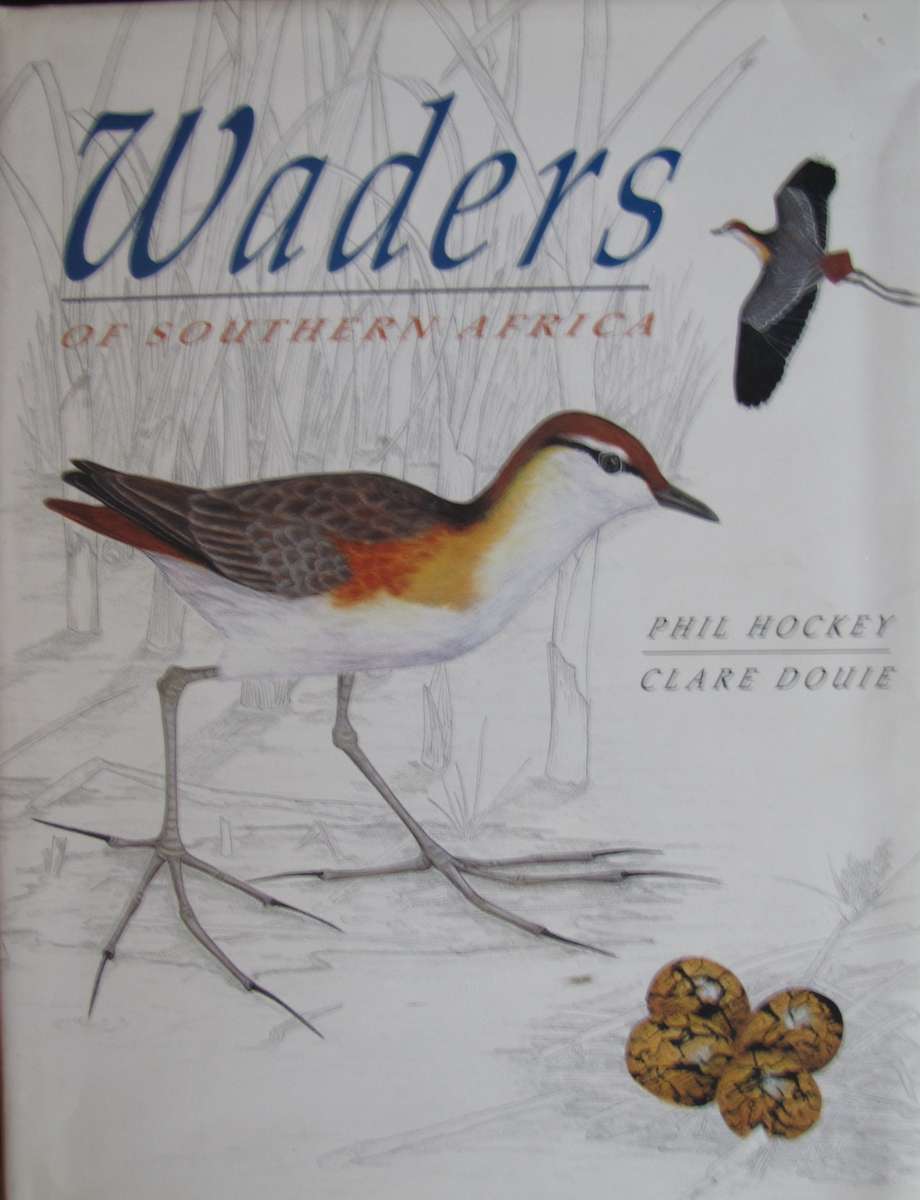 Waders of Southern Africa Phil Hockey Illustrated by Clare Douhie and Andrew Barlow