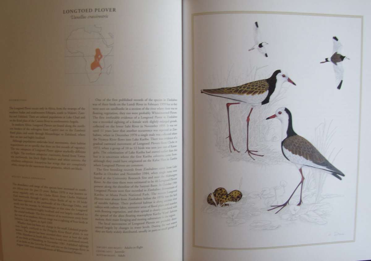Waders of Southern Africa Phil Hockey Illustrated by Clare Douhie and Andrew Barlow