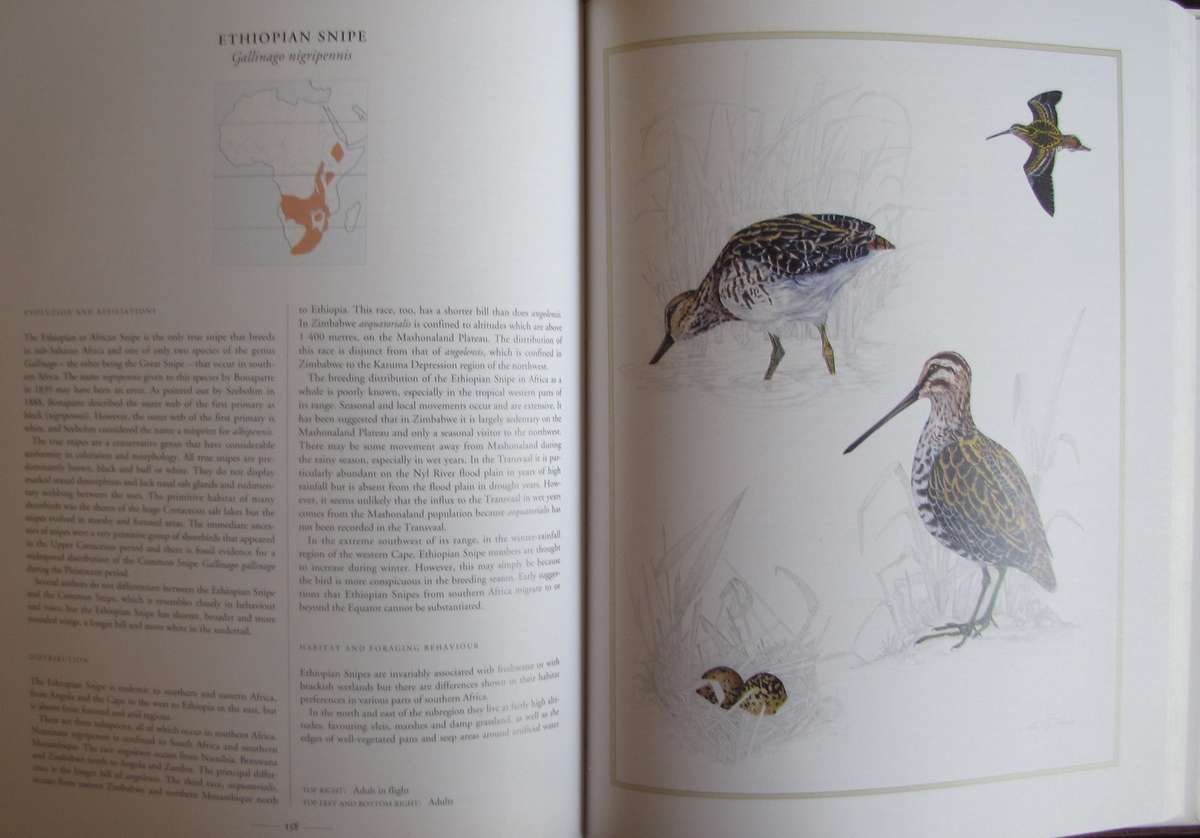 Waders of Southern Africa Phil Hockey Illustrated by Clare Douhie and Andrew Barlow