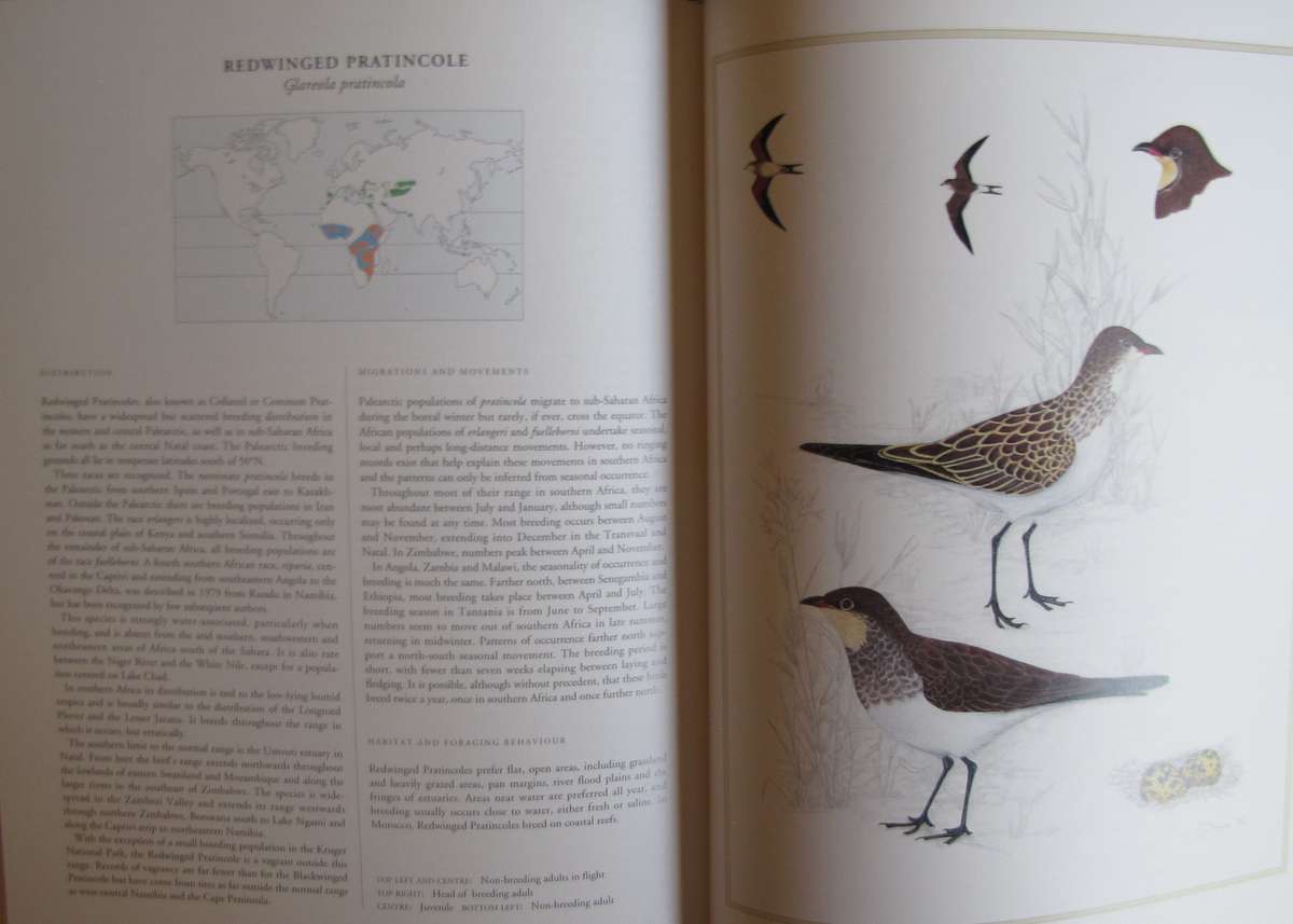 Waders of Southern Africa Phil Hockey Illustrated by Clare Douhie and Andrew Barlow