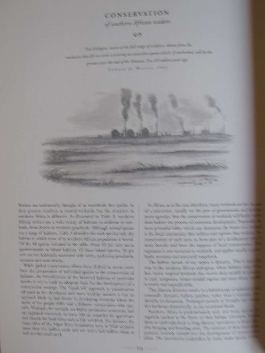 Waders of Southern Africa Phil Hockey Illustrated by Clare Douhie and Andrew Barlow