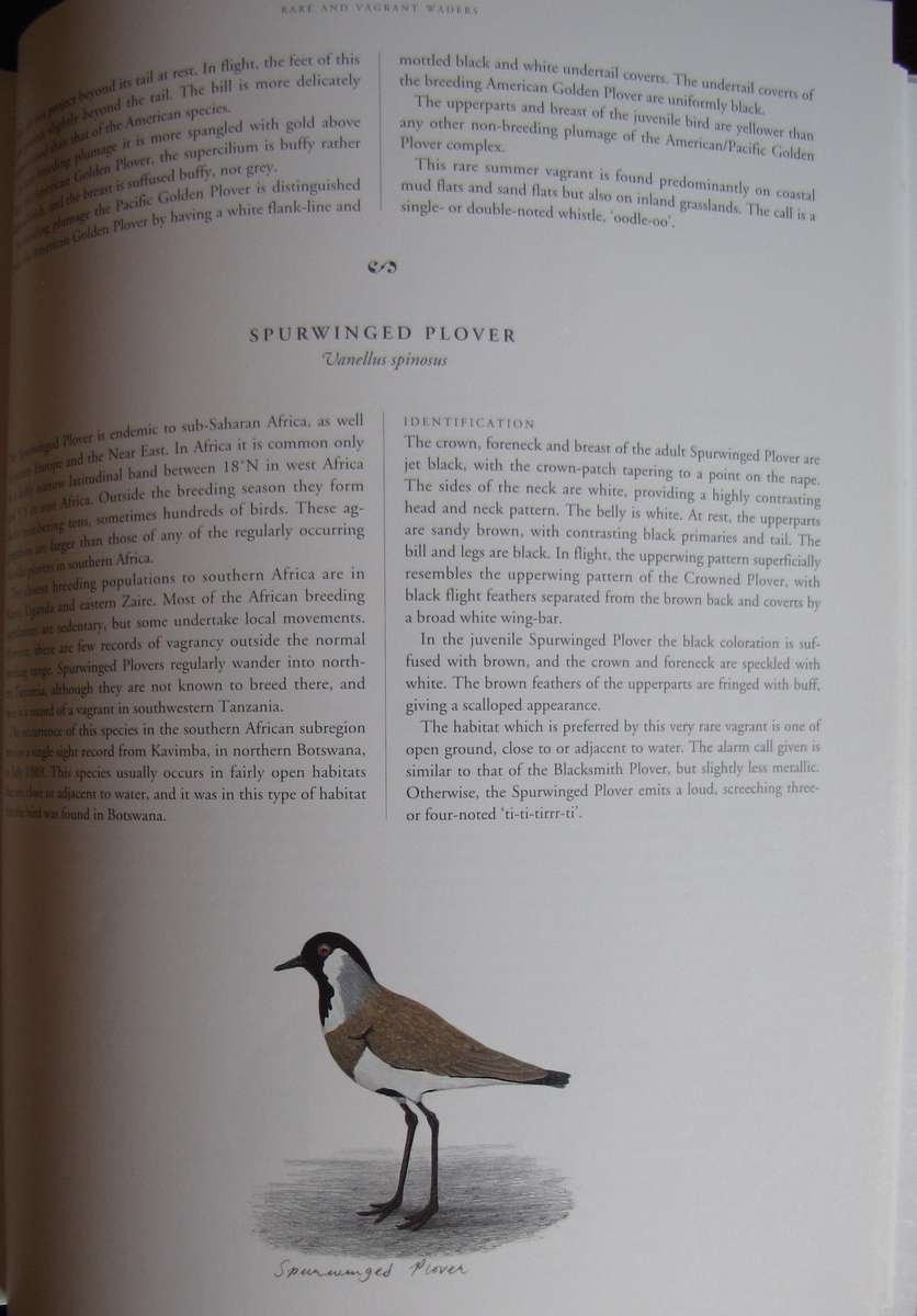 Waders of Southern Africa Phil Hockey Illustrated by Clare Douhie and Andrew Barlow