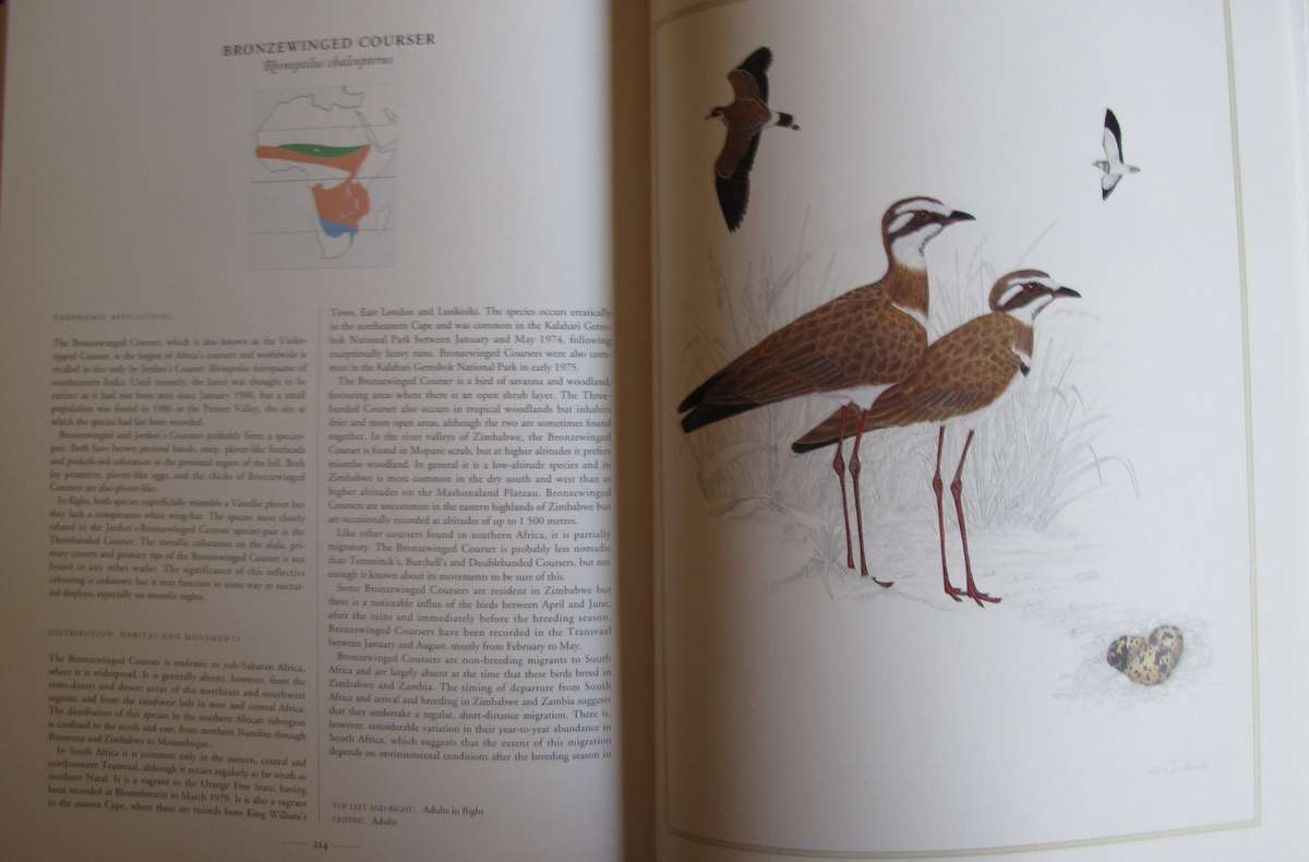 Waders of Southern Africa Phil Hockey Illustrated by Clare Douhie and Andrew Barlow