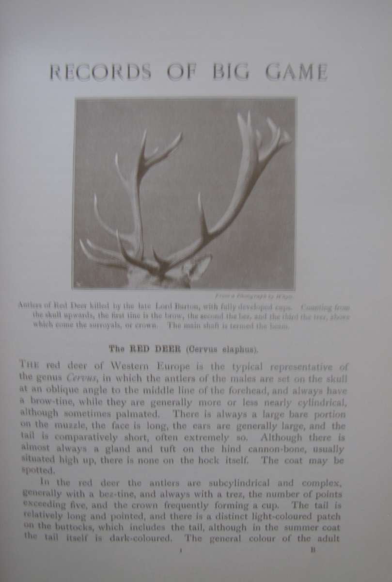 Rowland Ward Records of Big Game with their Distribution , Characteristics, Dimensions & Weights