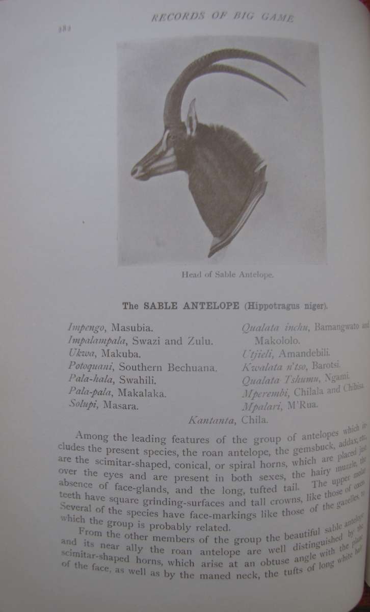 Rowland Ward Records of Big Game with their Distribution , Characteristics, Dimensions & Weights