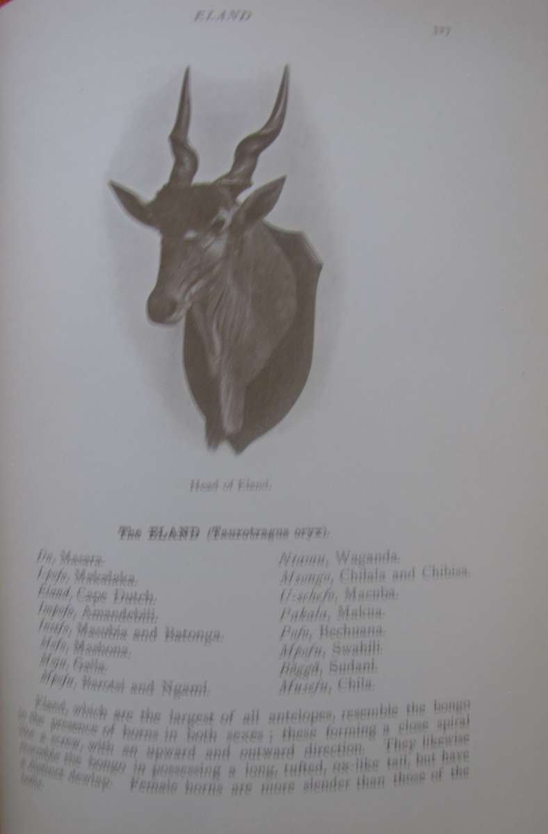 Rowland Ward Records of Big Game with their Distribution , Characteristics, Dimensions & Weights