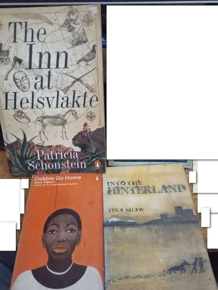 South African authors x3