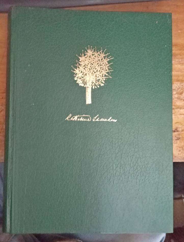 Flower Paintings of Katharine Saunders