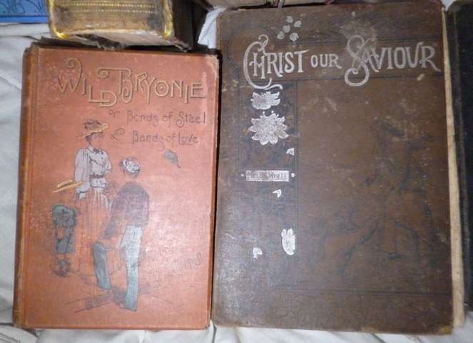 ANTIQUE BOOKS x 18