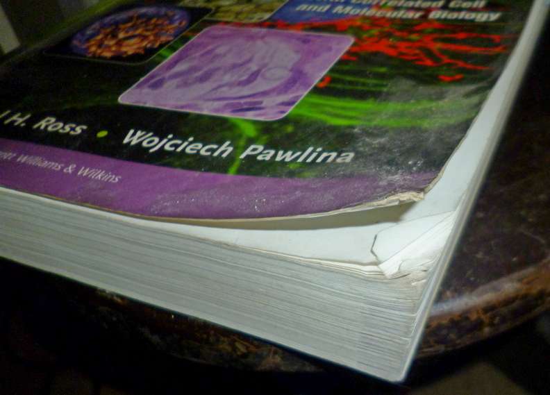 Histology: A Text and Atlas