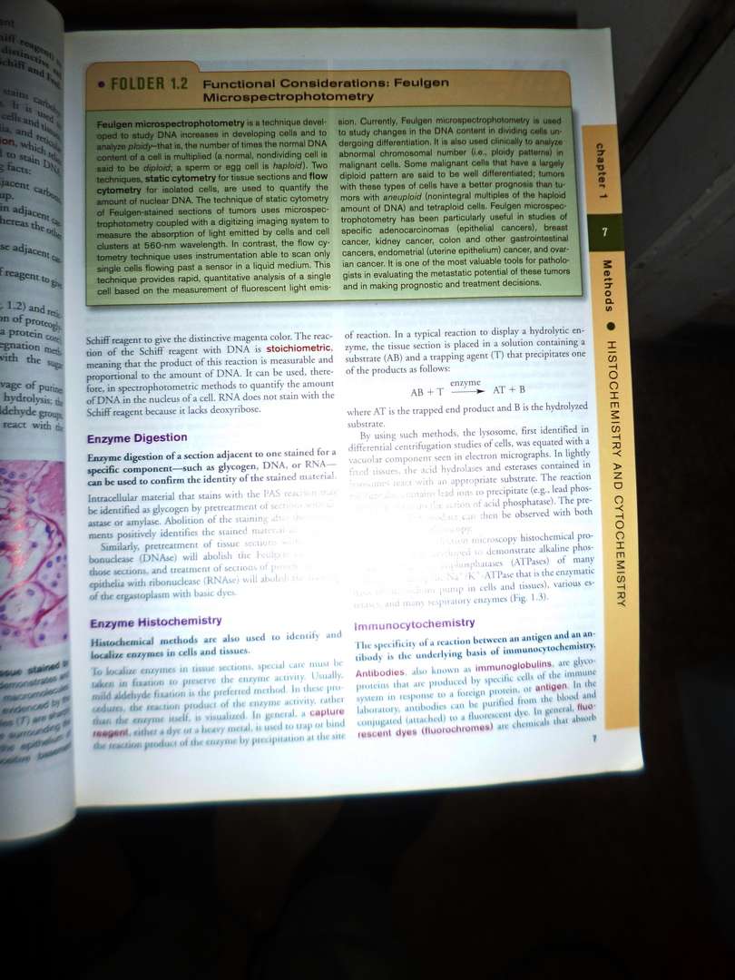 Histology: A Text and Atlas
