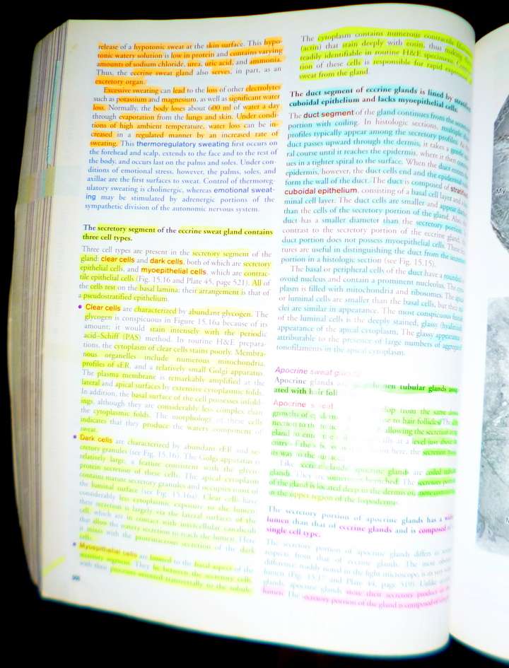 Histology: A Text and Atlas