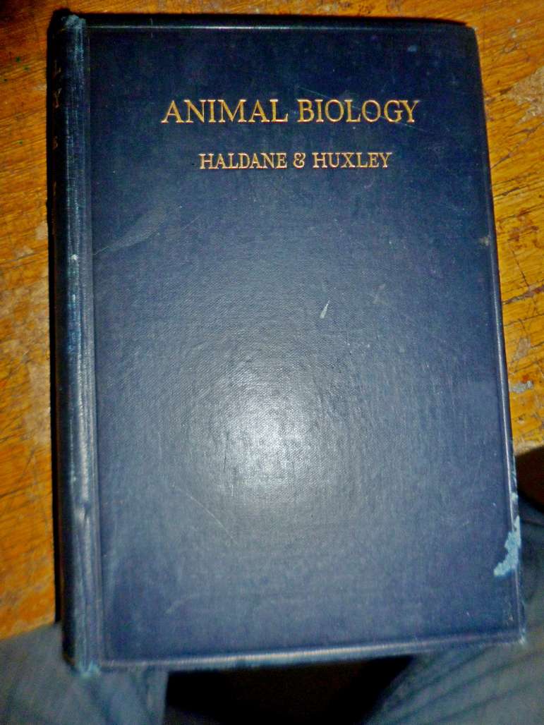 Animal Biology 1934