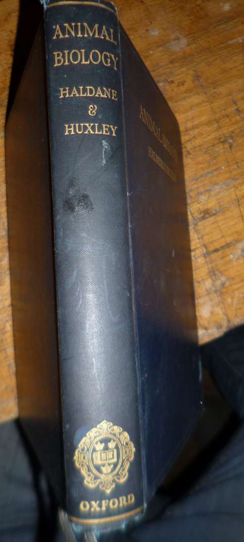 Animal Biology 1934