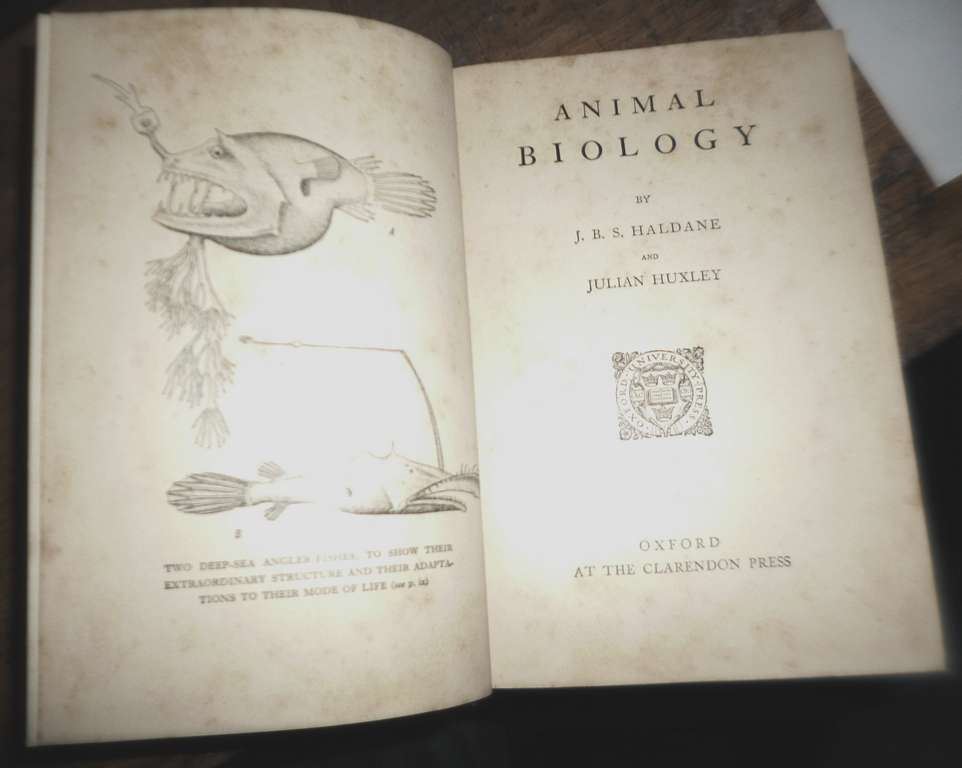 Animal Biology 1934