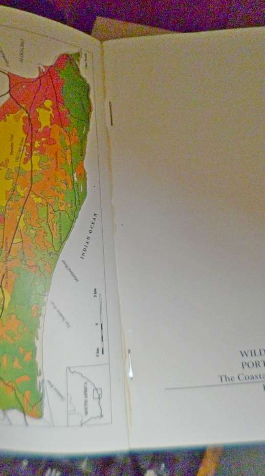 WILDFLOWERS OF THE PORT ELIZABETH AREA -  Gamtoos to Swartkops Rivers