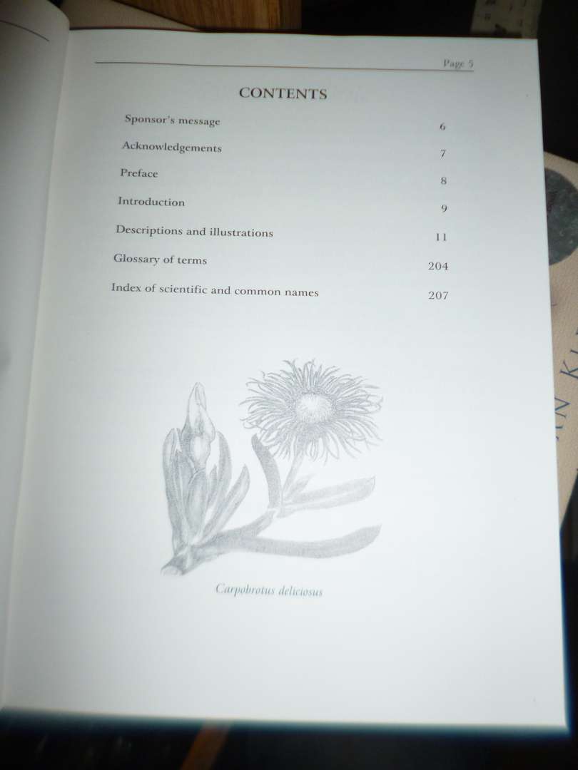 WILDFLOWERS OF THE PORT ELIZABETH AREA -  Gamtoos to Swartkops Rivers