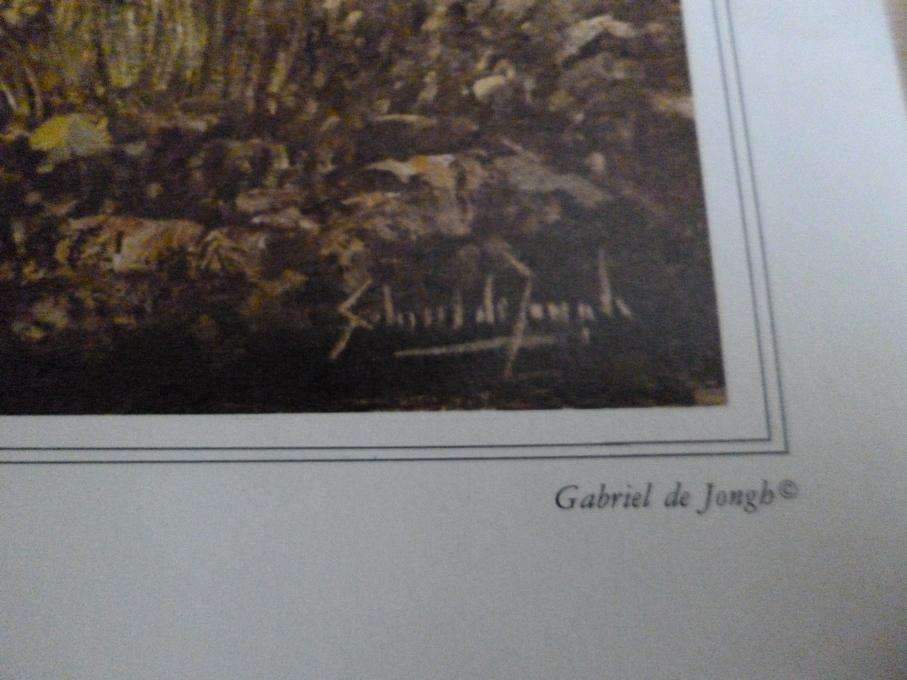 Gabriel de Jongh prints x2