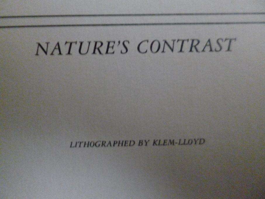 Gabriel de Jongh prints x2