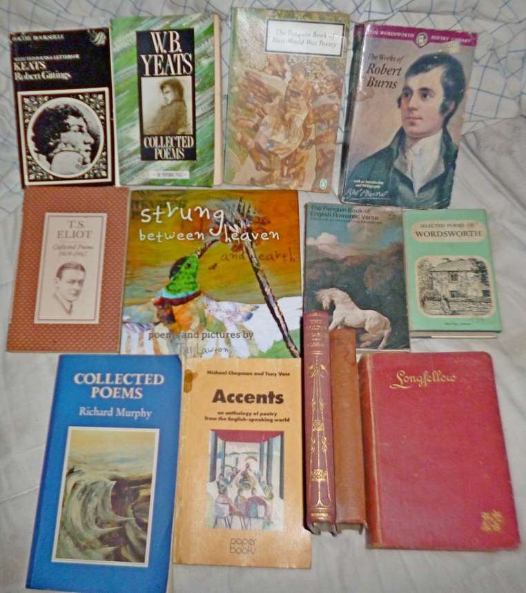 a selection of 23 Poetry Books