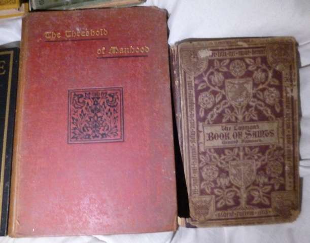 ANTIQUE BOOKS x 18