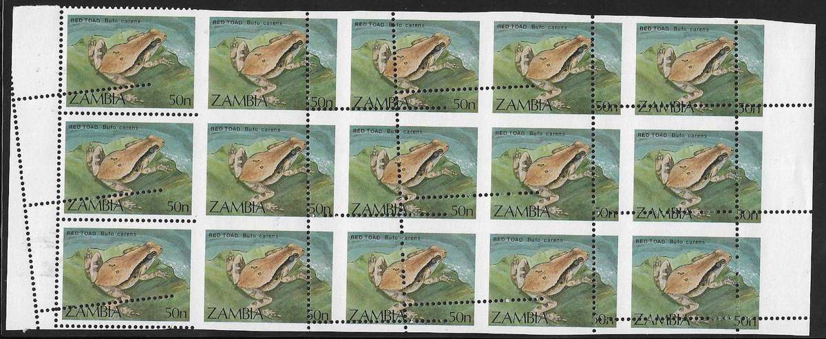 Zambia large block (x15) 50n perforation shift.