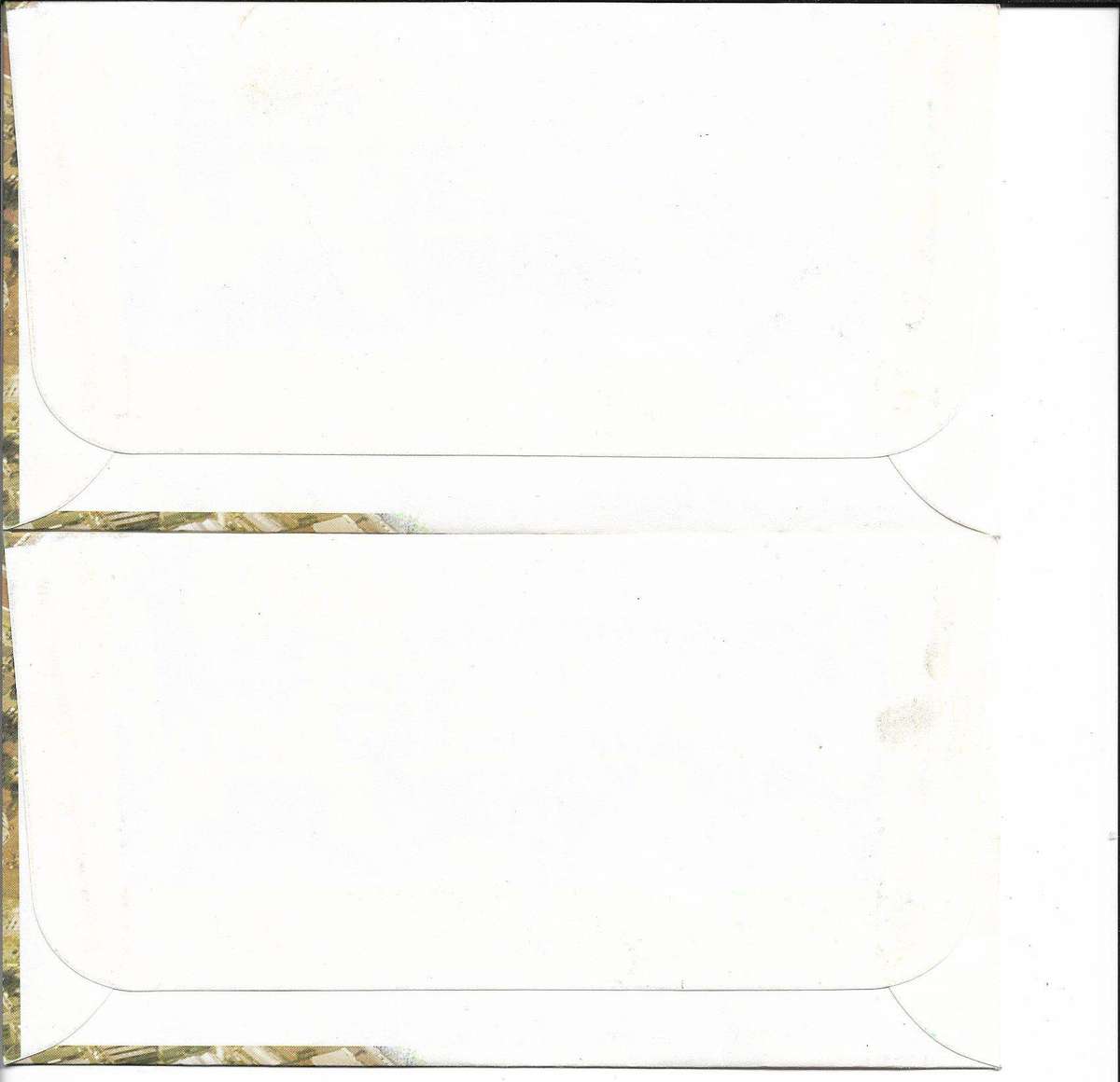 South Africa rugby covers 1982.