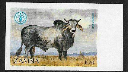 Zambia variety imperforated K20 value.