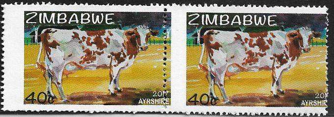 Zimbabwe variety perforation shift.