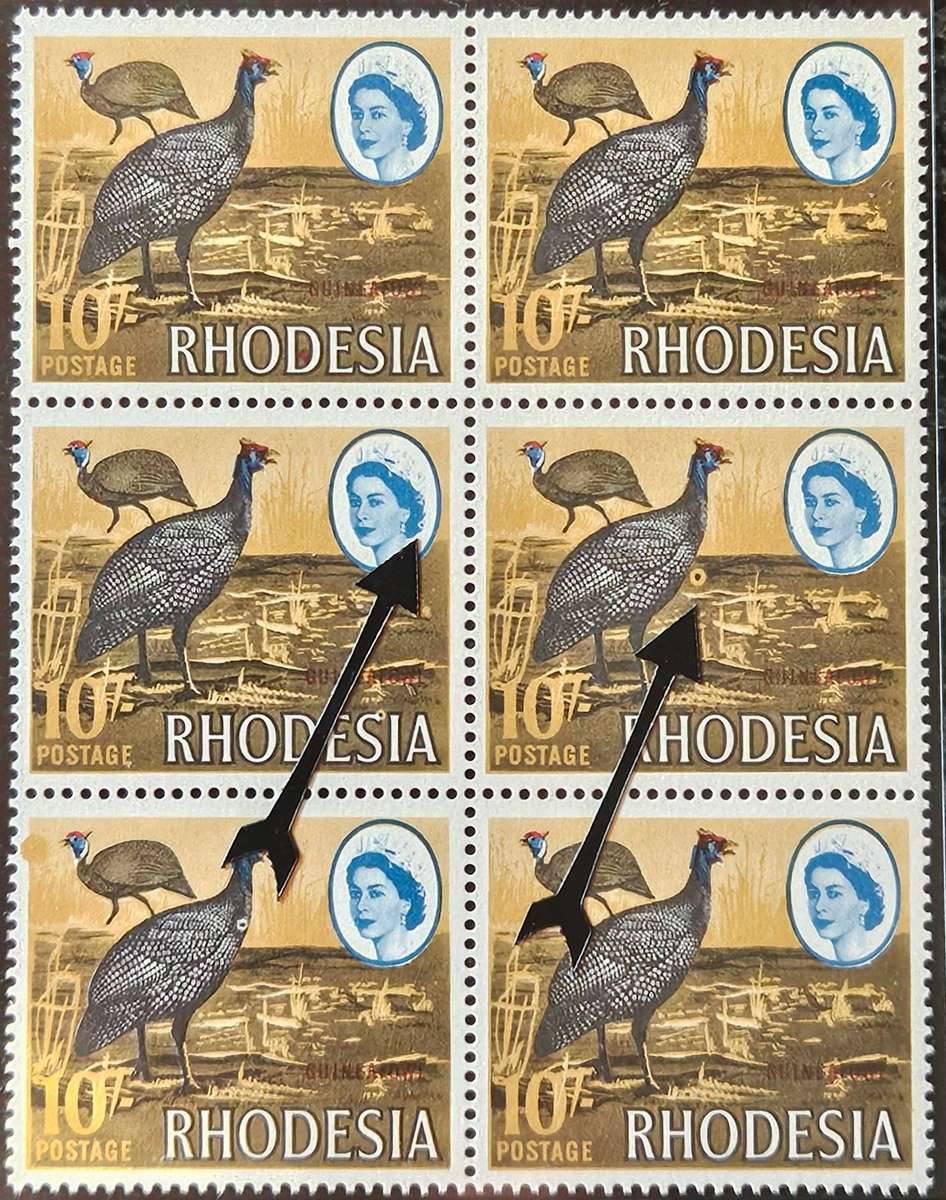 Rhodesia 10s mint block of (x6) Queen Elizabeth, hair clip/variety and firefly variety.