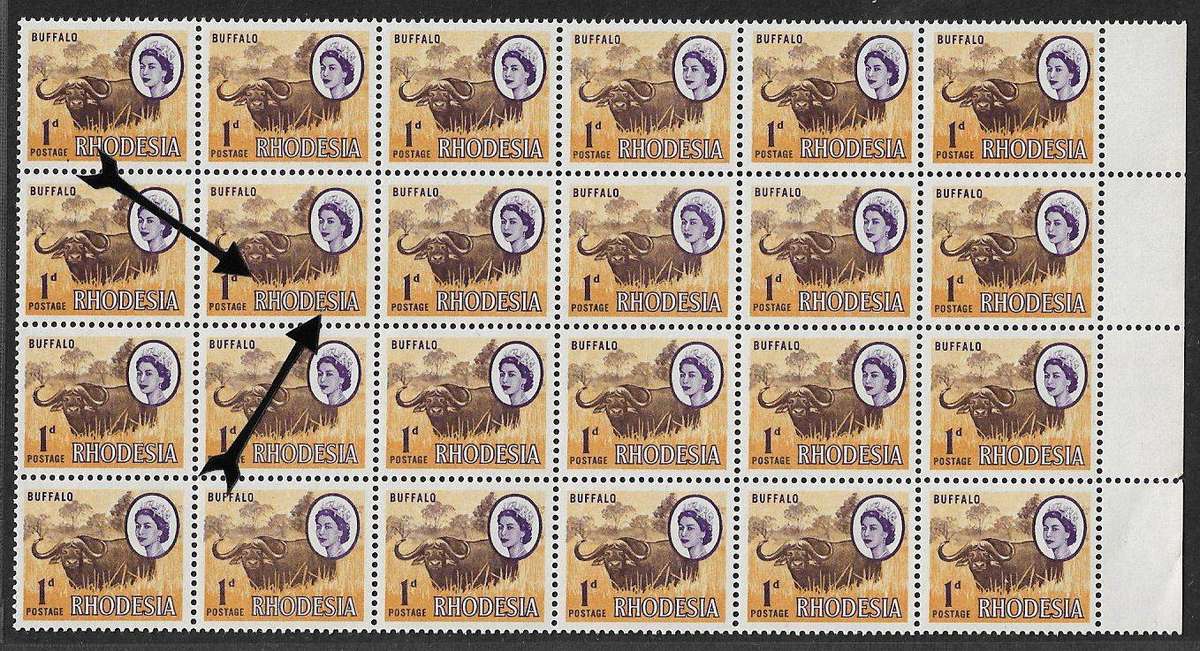Rhodesia variety hole in buffalo, slight shift causing double effect on wording and broken E.