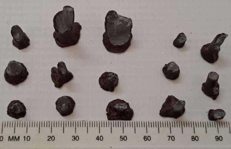 Model Trains HO - 15 x Tree Stumps - Various