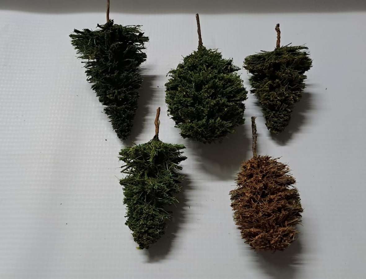 Model Trains 1:87 HO - Trees (pack of 5)