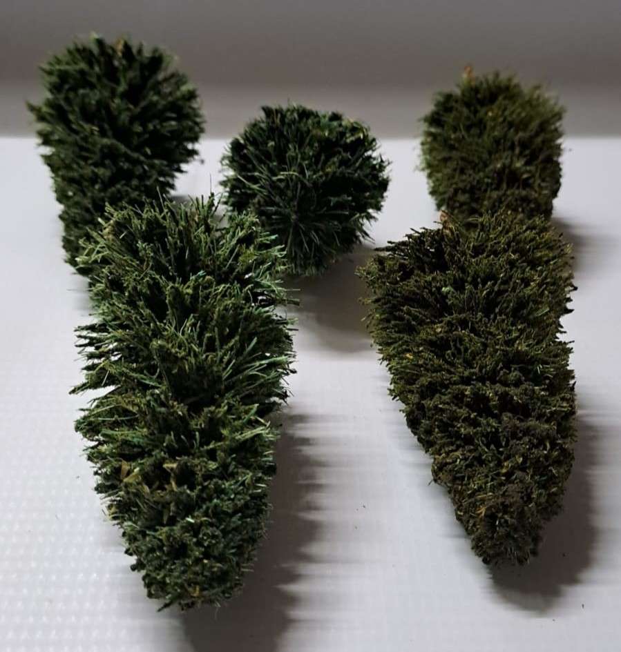 Model Trains 1:87 HO - Trees (pack of 5)