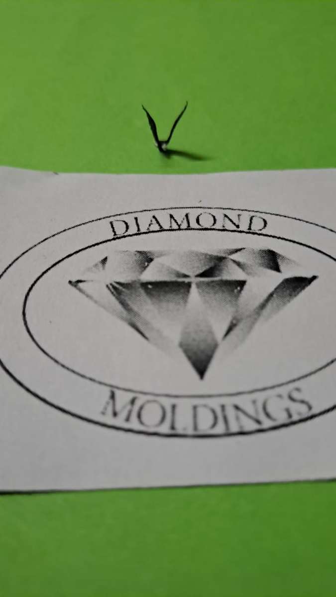 Model Trains 1/87 H0 - Animals - Eagle Landing (x1)