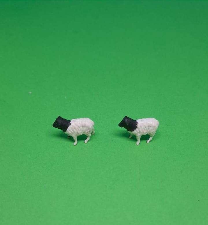Model Trains HO 1 x Pack of 2 Dorper sheep.