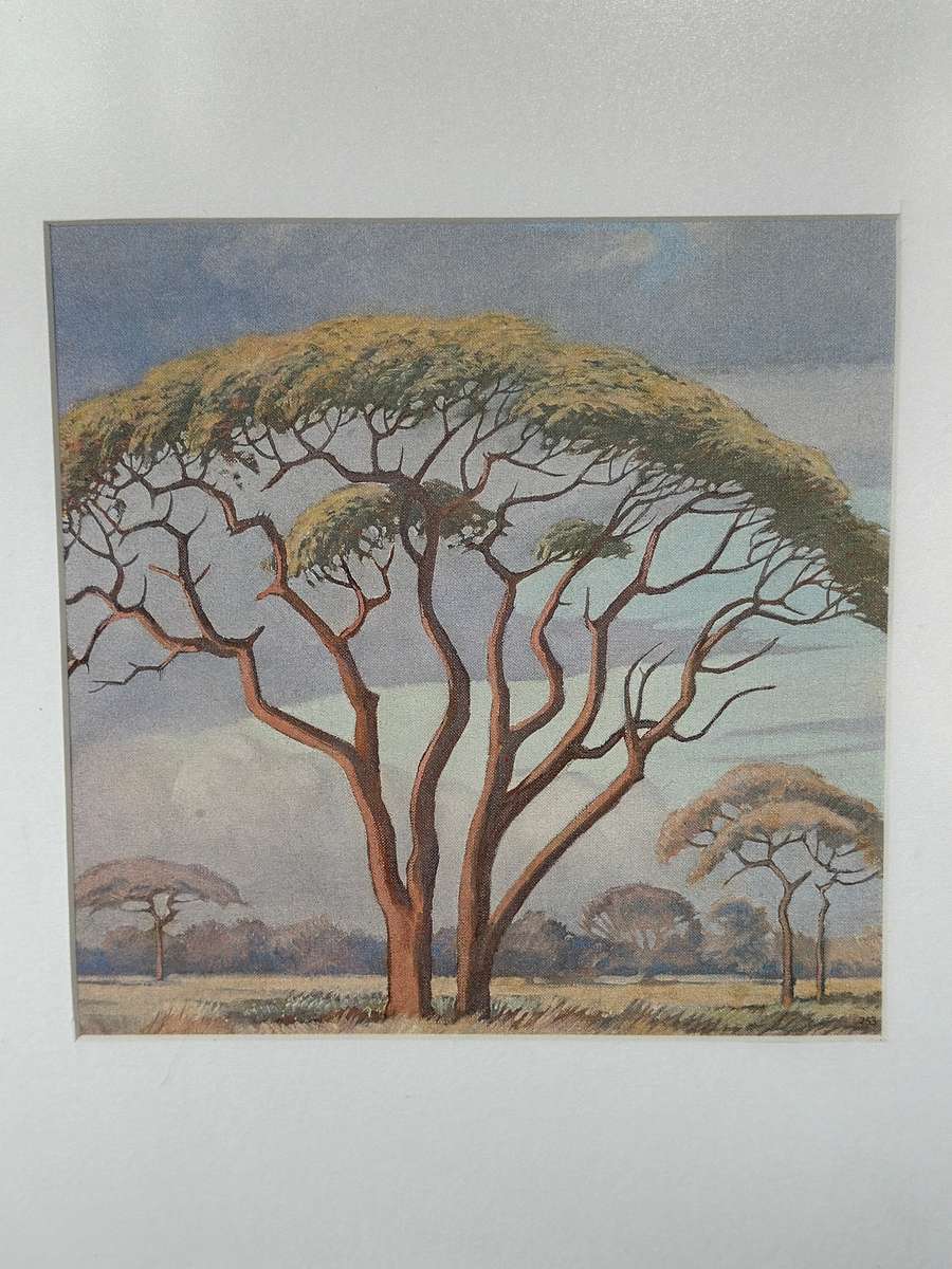 Framed Jacobus Hendrik Pierneef Print, Rooi Sering, Single Mount, Finished Size 40cm x 49cm