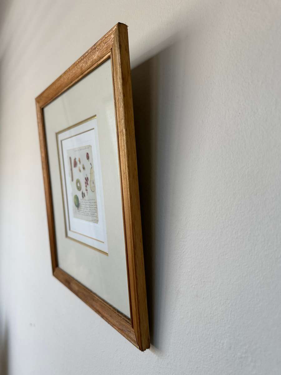 Framed Cinnamon & Fruits Print, Clear Glass< Wooden Frame - Finished Size 28cm x 31.5cm