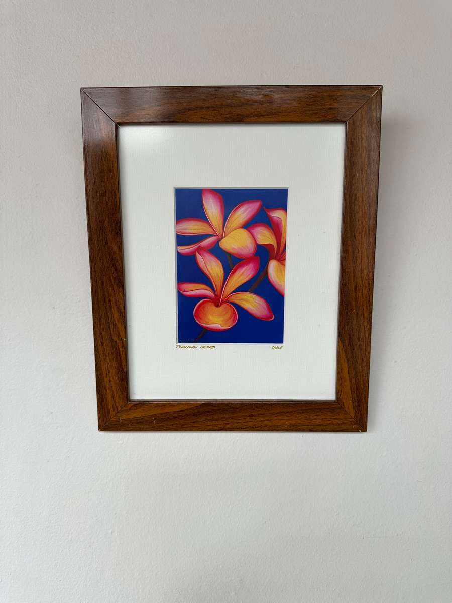 Framed Caple Print, Frangipani (Artist Signed) Finished Size 25cm x 30.5cm