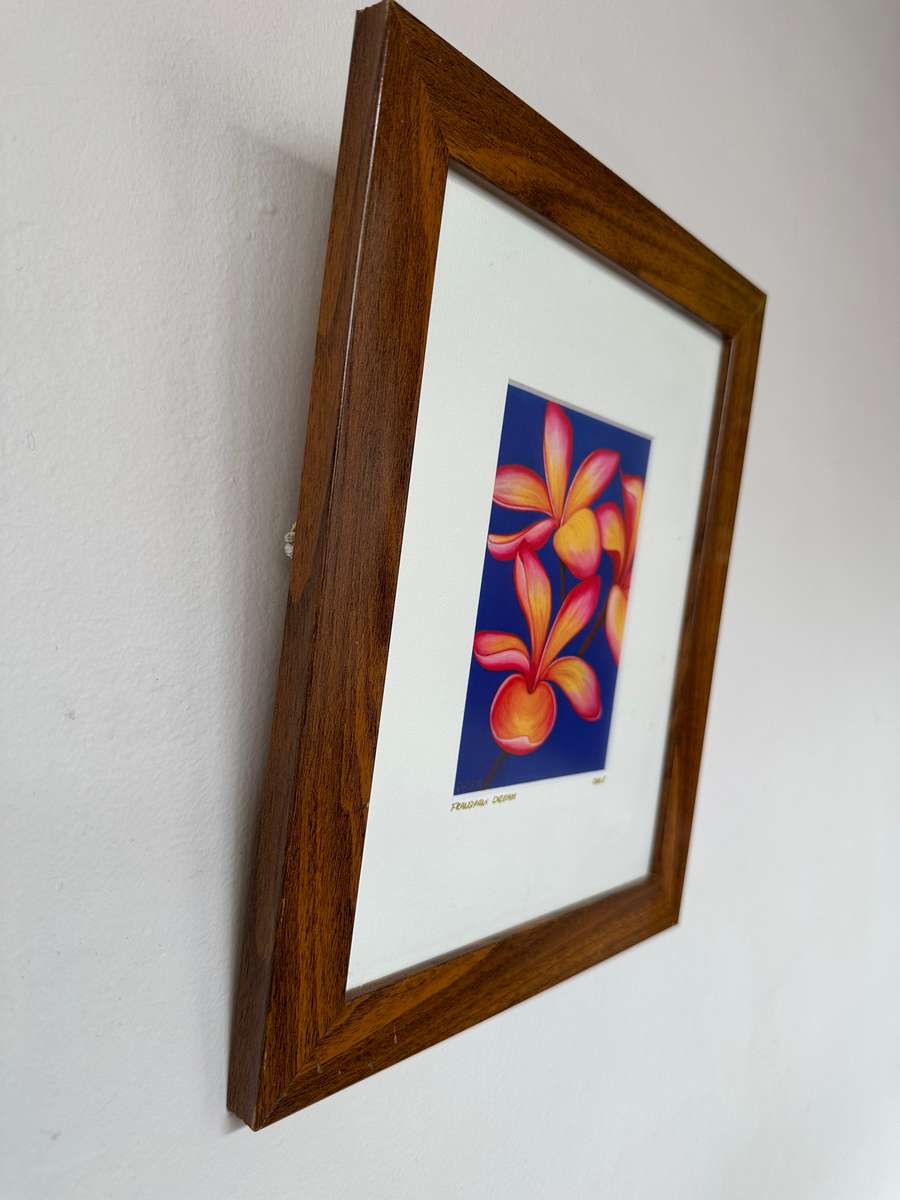Framed Caple Print, Frangipani (Artist Signed) Finished Size 25cm x 30.5cm