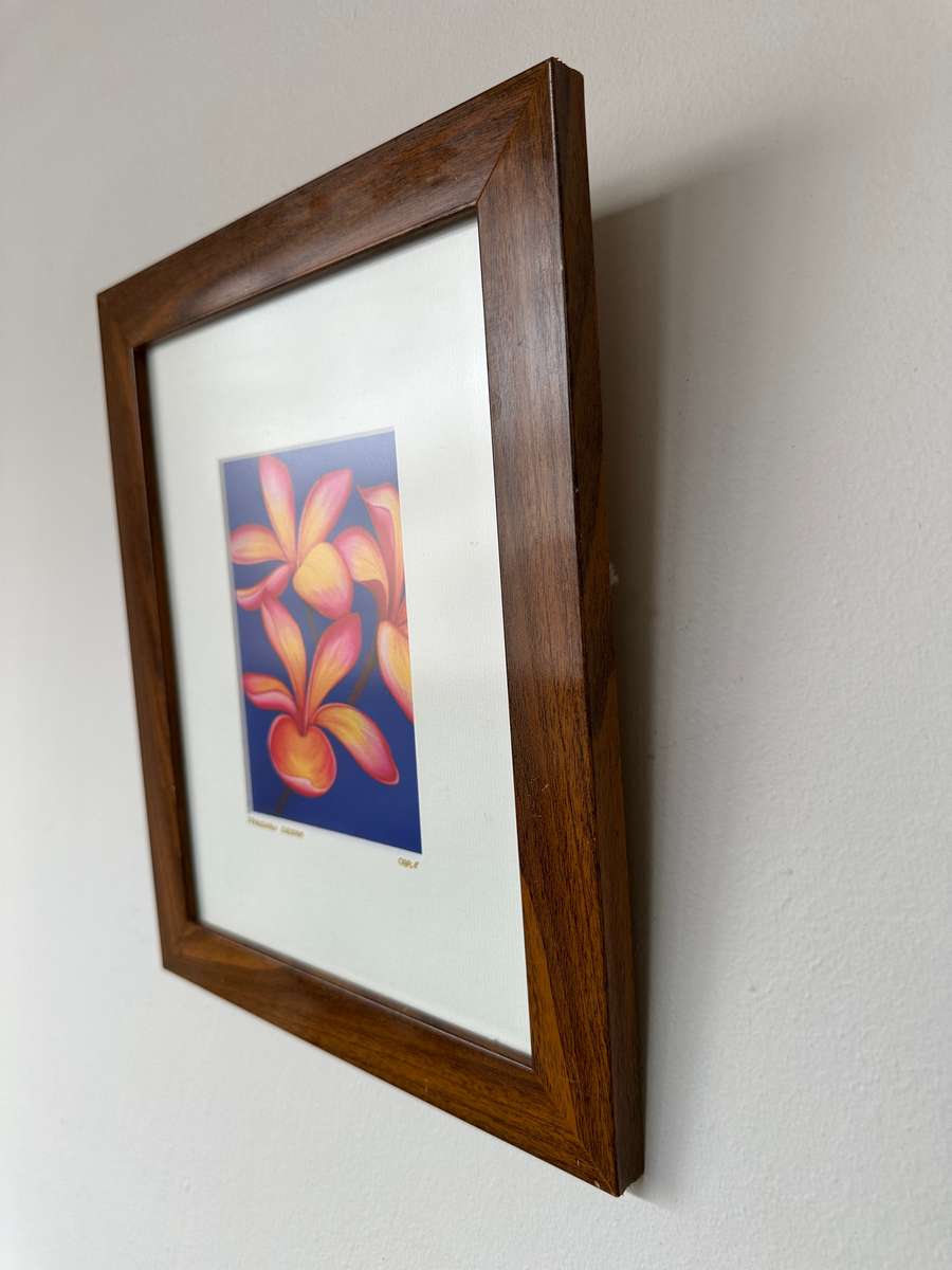 Framed Caple Print, Frangipani (Artist Signed) Finished Size 25cm x 30.5cm
