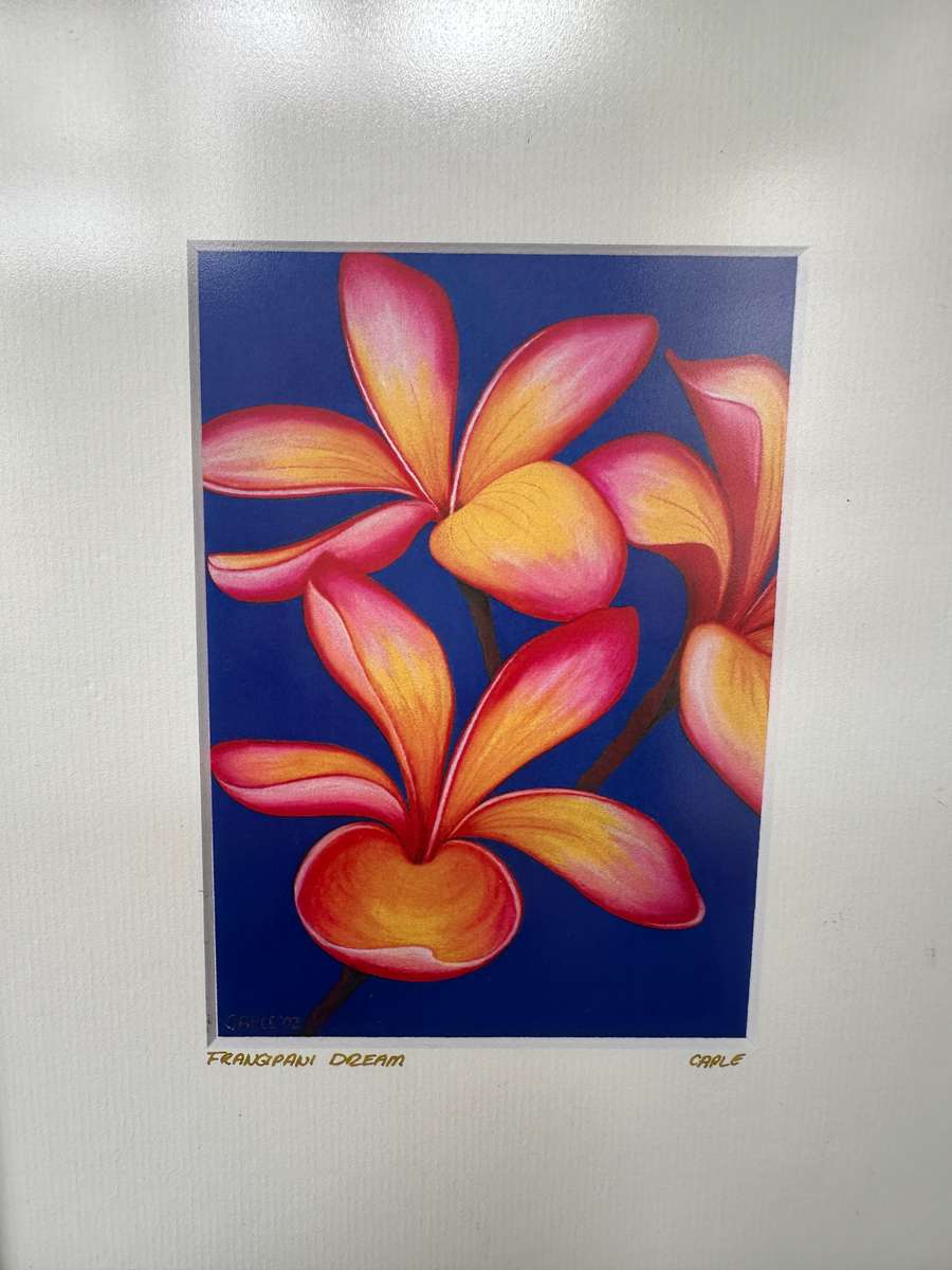 Framed Caple Print, Frangipani (Artist Signed) Finished Size 25cm x 30.5cm