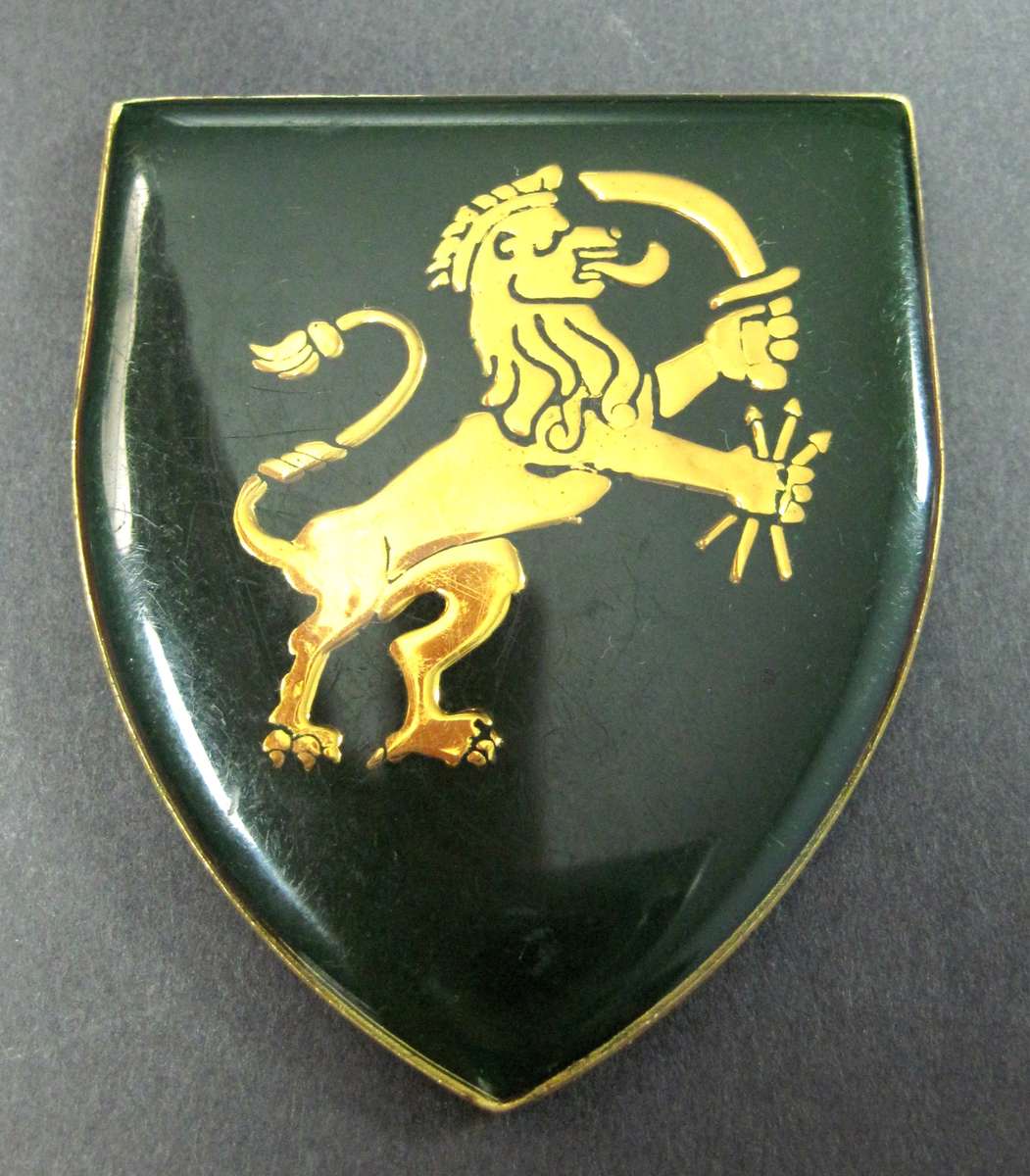 SADF - 9 SAI Battalion flash