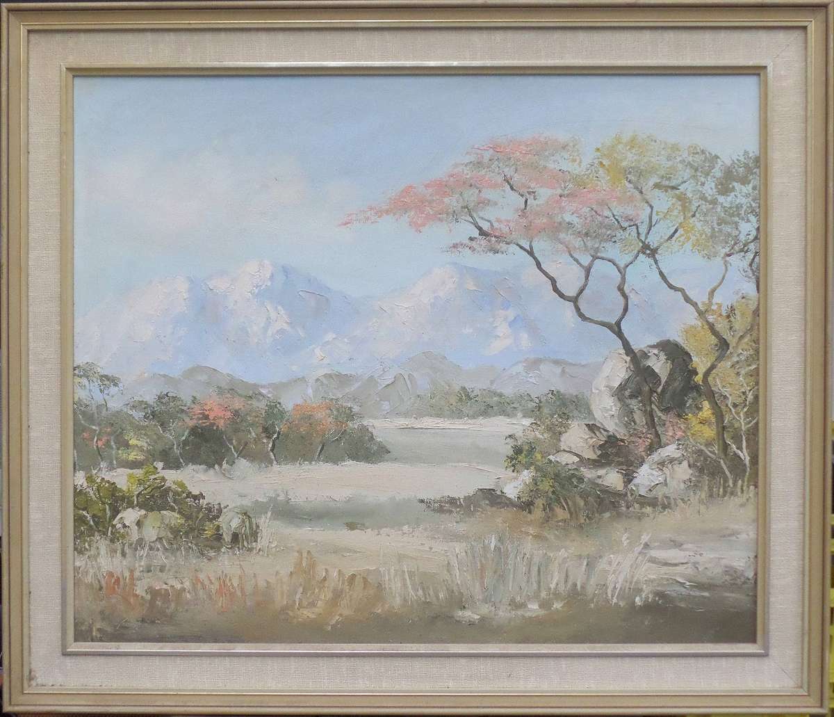 Beautiful bushveld oil painting by Joan Evans