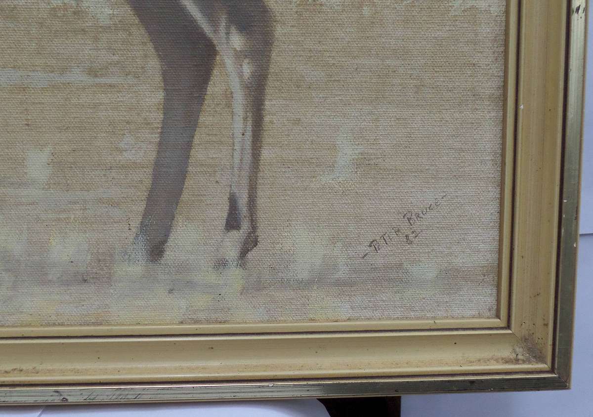 Majestic kudu bull acrylic painting by Peter Bruce