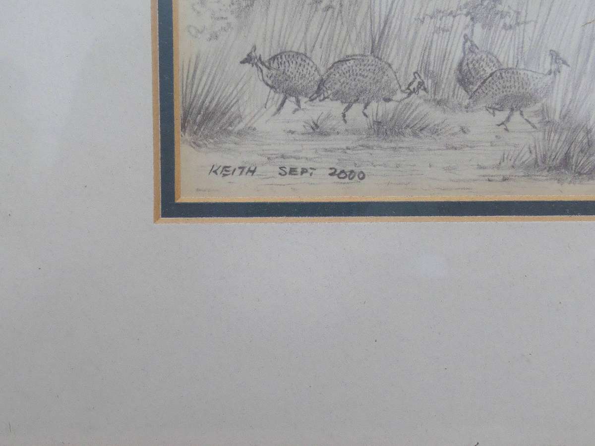Vintage Signed Game Bird Pencil Sketch